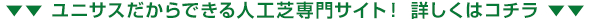 ユニサスだからできる人工芝専門サイト！詳しくはコチラ